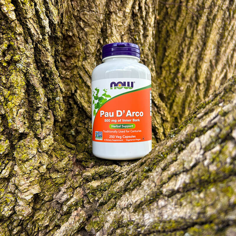 Pau D’Arco 500 mg 100 caps NOW Foods - Image 3